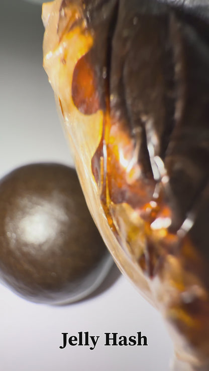 JELLY HASH