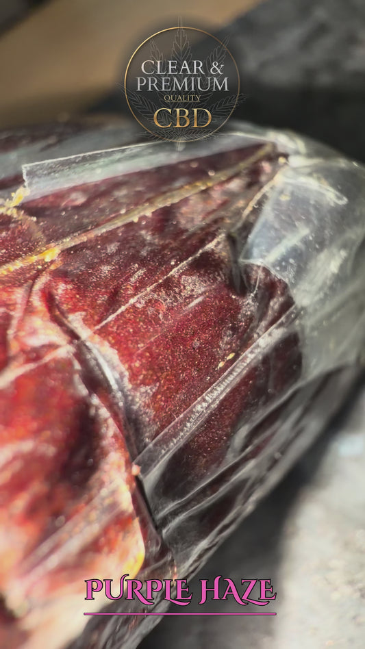 • PURPLE HAZE 🌸