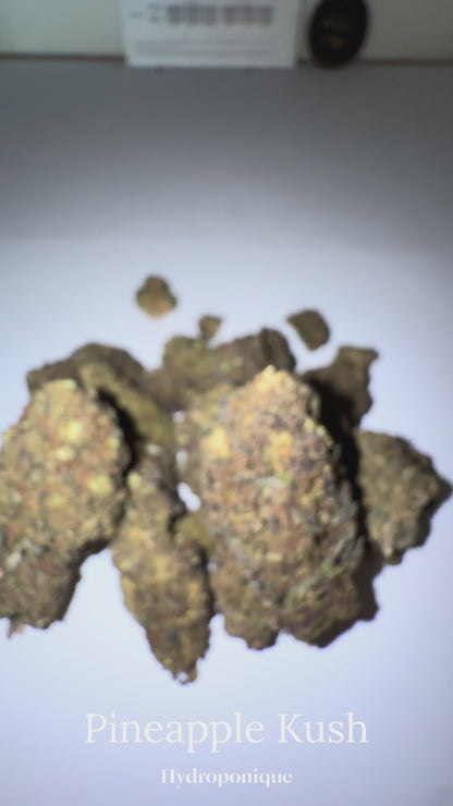 PINEAPPLE KUSH